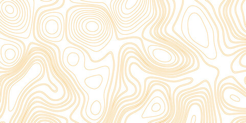 The stylized height of the topographic contour in lines and contours. The concept of a conditional geography scheme and the terrain path. Vector illustration.