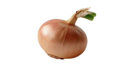 Single Onion: A single, ripe onion with its papery skin and sprouting green shoots sits on a plain background, ready for use in any culinary creation.