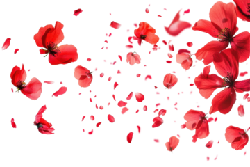 Red flowers and petals flying in the air create a dynamic and graceful visual on white