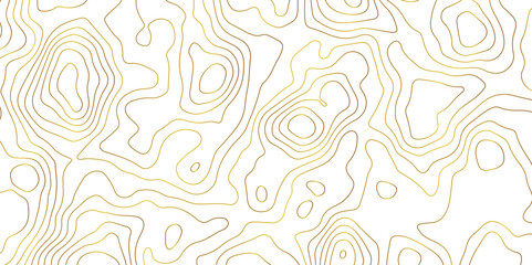 Topographic Map Lines Background. Abstract Contour Pattern Design. abstract seamless pattern with lines