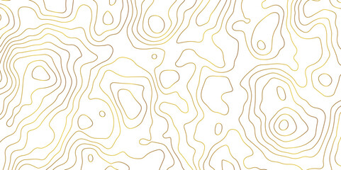 Topographic Map Lines Background. Abstract Contour Pattern Design. abstract seamless pattern with lines