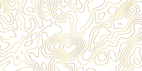 Topographic Map Lines Background. Abstract Contour Pattern Design. abstract seamless pattern with lines