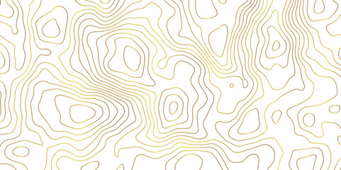 Topographic Map Lines Background. Abstract Contour Pattern Design. abstract seamless pattern with lines