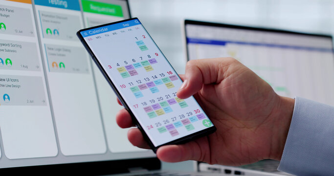 Gantt Gantt Software Project
