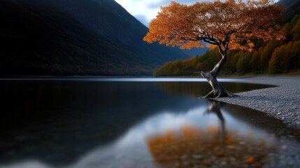 Autumnal lake scene with a lone tree reflecting.  Tranquil autumn colors meet still water