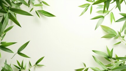 Obraz premium Fresh bamboo leaves frame a blank space
