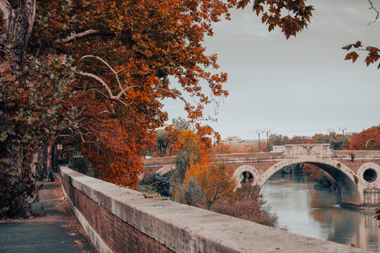 The Tiber is the third-longest river in Italy and the longest in Central Italy, rising in the Apennine Mountains in Emilia-Romagna and flowing 406 km through Tuscany, Umbria, and Lazio, where it is jo