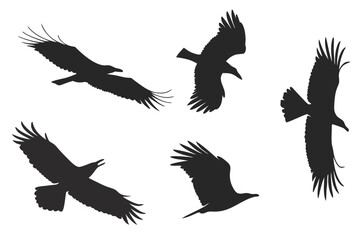 Fototapeta premium Flying bird silhouettes varied wing positions, minimalist black on white
