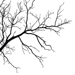 Fototapeta premium stark silhouette of a tree branch with intricate. bare twigs extending against a plain white background the design emphasizes the delicate structure of the branch. evoking themes of nature and minimal