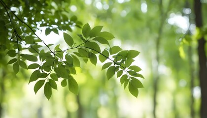Lush Green Spring Foliage Vibrant Nature Background Tranquil Forest Scene