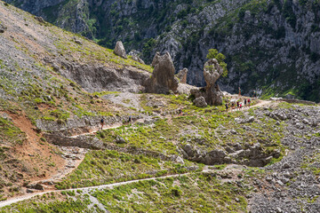Mountain landscape in the Cares gorge in Spain, with its rocky cliffs and vegetation