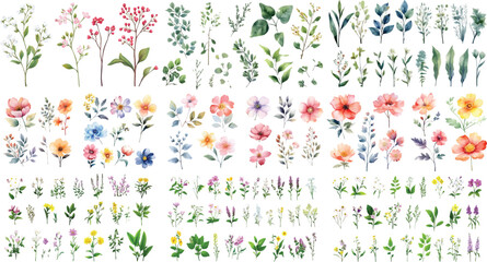 Set of green watercolor leaves on isolated background. watercolor floral package collection. Use by fabric, fashion, wedding invitation, template, poster, romance, greeting, spring, bouquet, pattern © Pixel Park