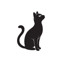 Curious Cat Looking Up Silhouette