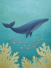 Obraz premium Majestic Whale in the Deep Blue Sea