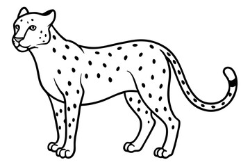 Swift Cheetah Outline