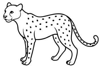 Swift Cheetah Outline