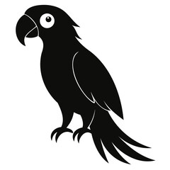 Parrot black silhouette, Parrot vector design. Parrot logo on transparent background