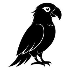 Black Vector silhouette of Macaw bird isolated on transparent background