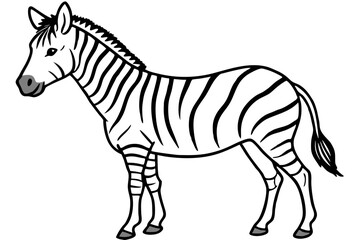 Wild Zebra Ink Lines
