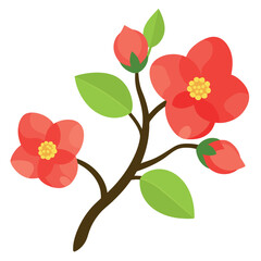 Flowers-of-Chaenomeles-japonica Japanese quince 