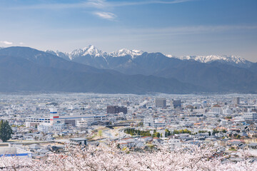 弘法山古墳頂上から見た松本市街と冠雪の北アルプスの山々