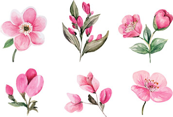 set of pink flowers