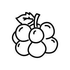 grape fruit icon vector, line style icon