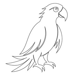 Black Vector outline or line art of Macaw bird isolated on transparent background