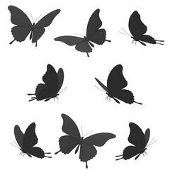 Obraz premium Shadow Wings in Flight AI Generated