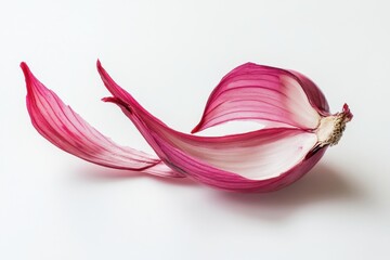 Single red onion with open peel on white background