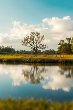 Tranquil nature landscape with tree reflection and cloudy sky