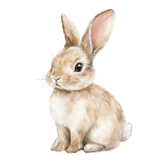 Obraz premium Cute little rabbit, childish style illustration. Happy hare, farm animal, bunny, isolated object on transparent background. Poster, nursery print, tshirt design, sticker, wallpaper