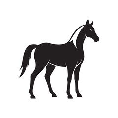 Standing Horse Silhouette On White