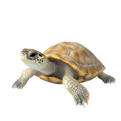 Fototapeta premium realistic depiction of a turtle. showcasing its detailed shell and distinctive features. set against a plain white background the turtle's posture suggests movement. emphasizing its natural grace and