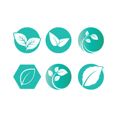 Mint leaf logo vector element template and symbol