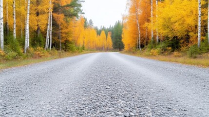 Fototapeta premium Autumnal forest road