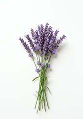 Obraz premium Lavender Bouquet Isolated on White Background Top View