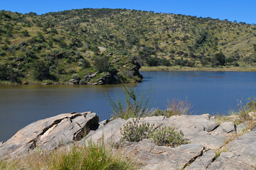 Le parc naturel Avis Dam en Namibie