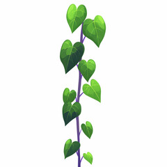 Obraz premium Vertical Plant Vine With Heart Shaped Leaves