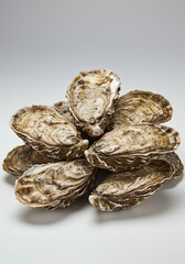 Pile of Fresh Oysters on Display Ready for Serving