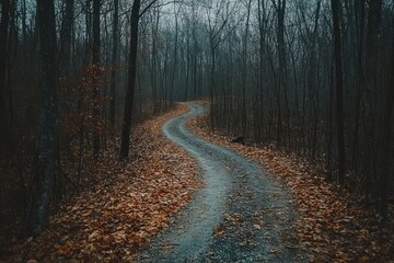 Obraz premium Winding forest path in a misty autumnal wood A gravel road curves into the distance, lined by leaf-covered trees Muted colors and soft light create a sense of mystery and serenity