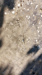 Сoncrete wall splattered with white paint, wear marks, scratches, and stains, with shadows of trees cast upon it. Grunge wall background. Distressed wall texture. 