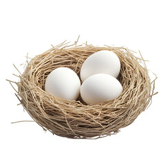 Three white eggs nestled comfortably inside a bird's nest against a stark black background studio shot