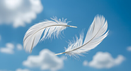 Obraz premium Two White Feathers Dancing in a Blue Sky