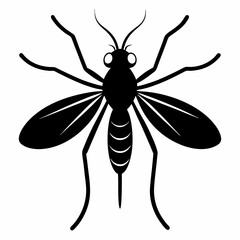 insect, dragonfly, fly, isolated, animal, bug, nature, macro, mosquito, cartoon, wing, white, closeup, vector, wings, flying, wasp, green, pest, illustration, summer, wildlife, insects, bee, black