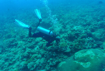 A Scuba Diver diving in the coral reef off Chidiya Tapu - Andaman Islands, India