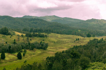 Scenic landscape of Mannavanur near Kodaikanal featuring lush greenery and rolling hills