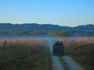 Fototapeta premium Corbett National Park, India - December 2016 : Wildlife safari in the grassland of Corbett National Park in the winter morning
