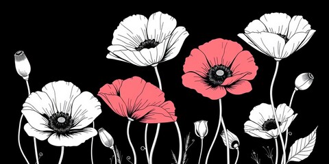 Obraz premium Elegant set of vintage poppy illustrations; black & white line art, ideal for design projects, pattern, vintage