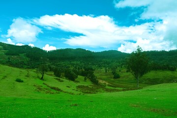 Obraz premium Breathtaking landscape of Munnavanur near Kodaikanal showcases lush greenery and serene hills under a bright blue sky